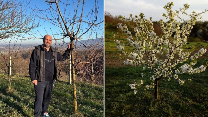 Rane sorte Tihomira Tucmana: Ne padam u očaj zbog klasičnog mraza, ali hladna fronta...