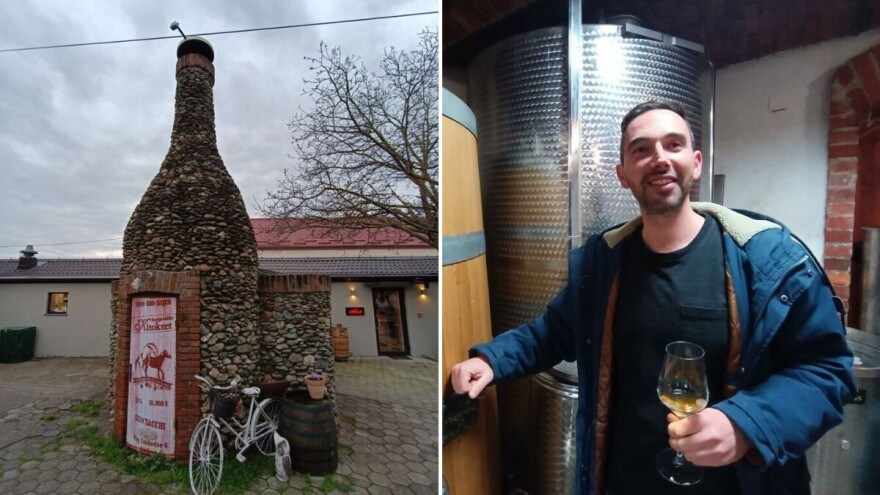 Sontacchi: Vinski turizam udvostručio je broj noćenja i ne mislimo stati na tome