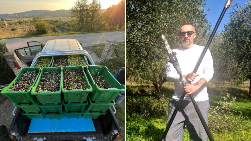 Zašto umire dalmatinska poljoprivreda?