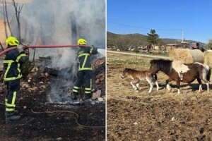 Požar progutao ranč obitelji Baran: Ostali bez svega, ali ne i nade