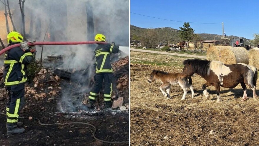 Požar progutao ranč obitelji Baran: Ostali bez svega, ali ne i nade
