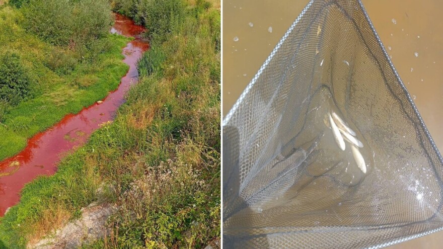 Crveni mulj završio u rijeci Sapni: Stradala populacija klena, mrene, zelenike i vijuna