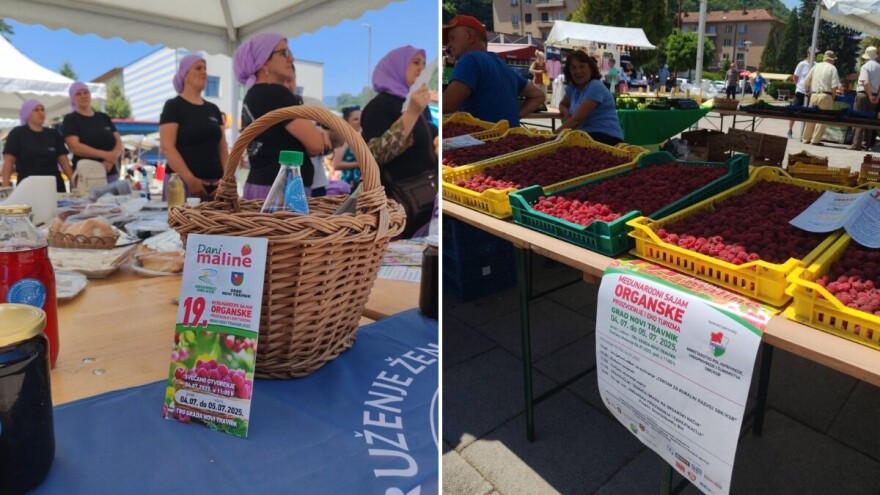 "Dani maline" uz gorku poruku: Uništeno 80% nasada, otkup sve manji