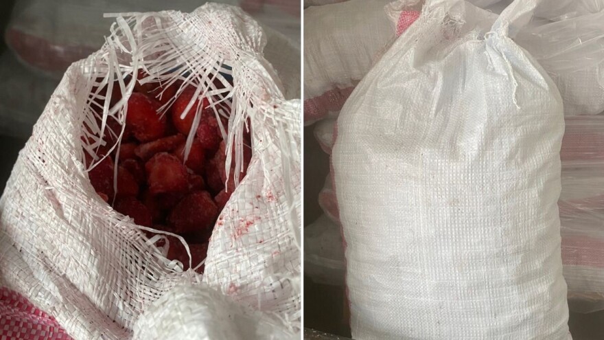 Zabranjen uvoz 22 tone zamrznutih jagoda i 96 kg sladoleda od pistacije