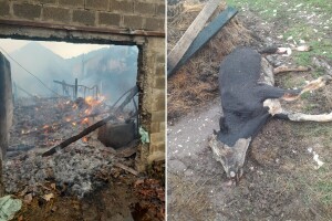 Grom zapalio štalu: Ljubanu izgorele junice, oprema i hrana