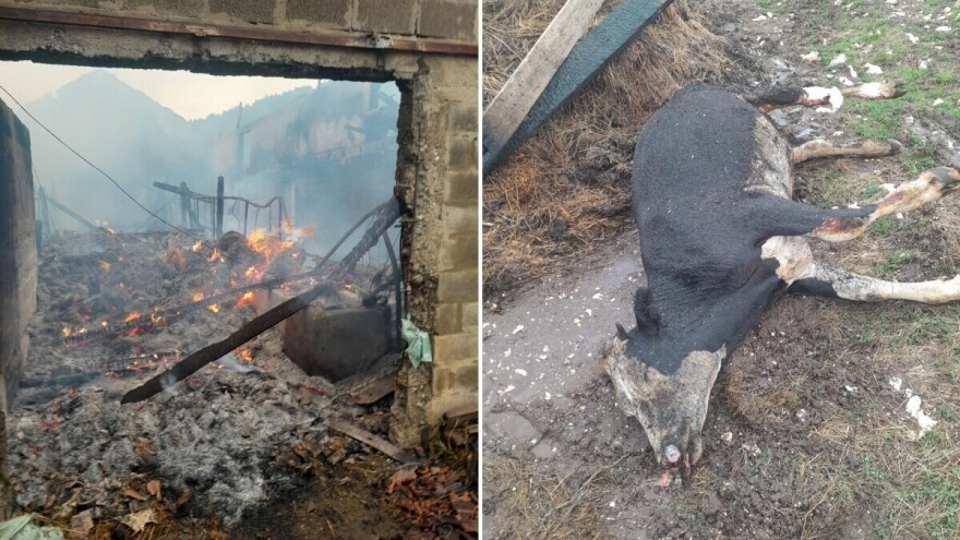 Grom zapalio štalu: Ljubanu izgorele junice, oprema i hrana