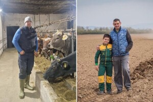Pad otkupne cijene mlijeka neupitan: Farmeri čekaju udar, prerađivači šute