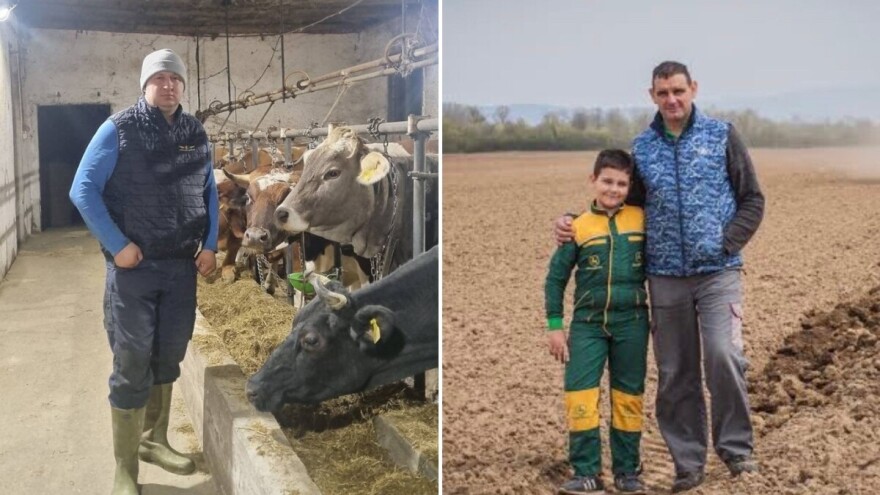 Pad otkupne cijene mlijeka neupitan: Farmeri čekaju udar, prerađivači šute