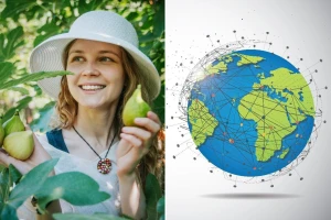Smokva: Od biblijskog lista do globalne delicije