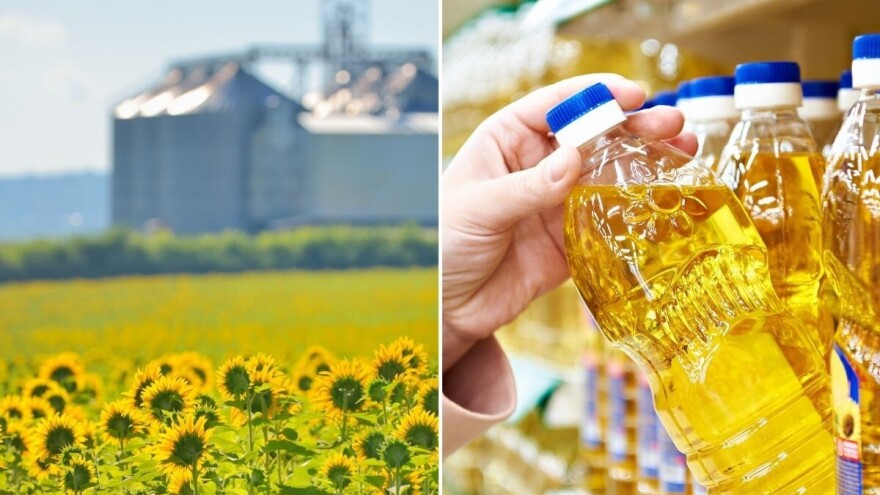 Umesto subvencija, zabrana izvoza suncokretovog ulja? Poljoprivrednici spremni za nove proteste