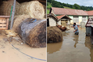 Katastrofalne poplave u Bužimu: "Prepao se insan, a da neće hajvan"