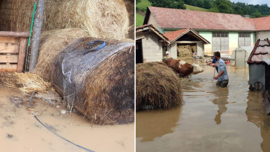 Katastrofalne poplave u Bužimu: "Prepao se insan, a da neće hajvan"