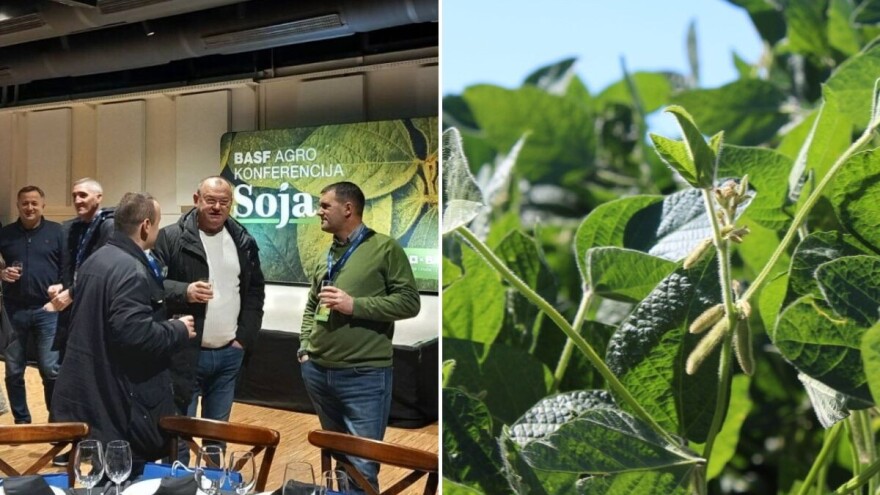 Soja je u Europi strateška kultura koja ima svijetlu budućnost, s čim ju zaštititi?