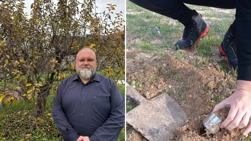 U tlu maslinika Zadarske županije niske razine pesticida, ali treba pripaziti na bakar