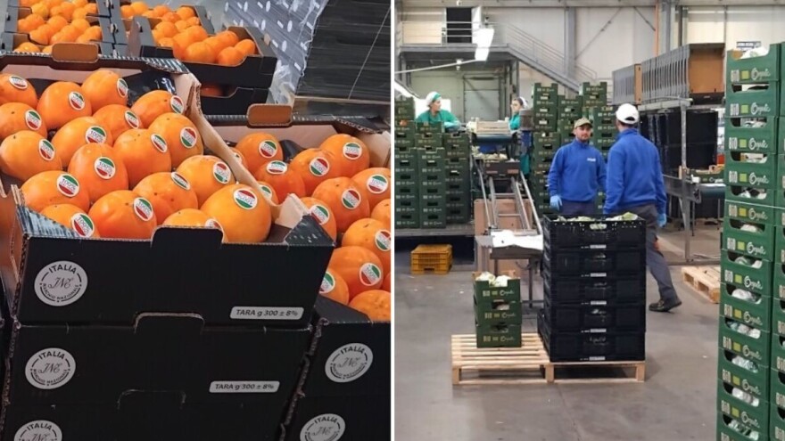 Nema zime za organske proizvode u Italiji