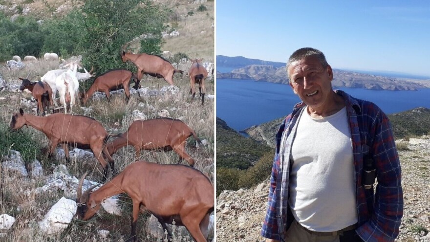 Ivan Prpić svaki dan prijeđe s kozama 20-ak kilometara po Velebitu, mjesečno podere par cipela