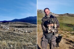 Čije ovce, toga i livada: Kako smo odnijeli muštuluk Mirjani u "nedođiju"