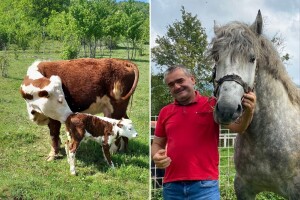 Uveo evropski red na selu, ali ne može maknuti od rupa: "Odrekao bih se poticaja za put"