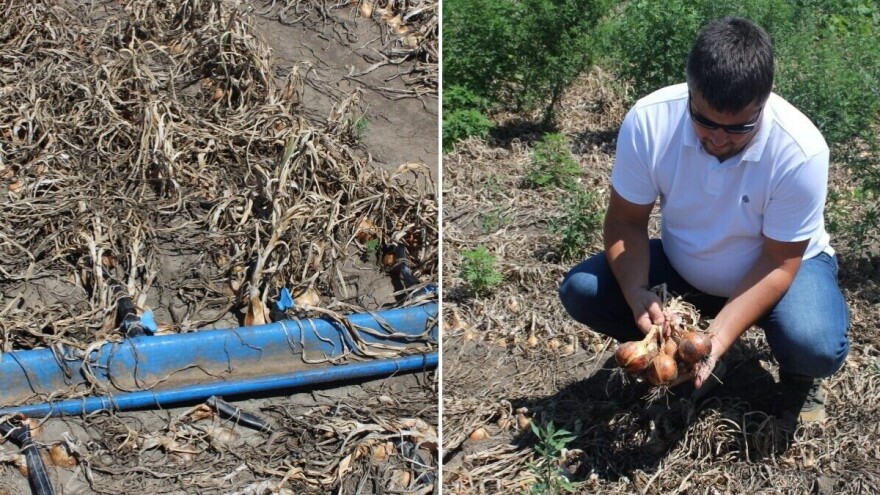 Navodnjavanje više nije luksuz - danas je jedino rešenje