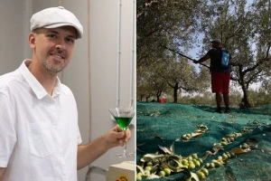 Nikad ranija berba na Mediteranu: Litar novog ulja od zelenih maslina od 150 do 500 eura!