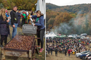 Raznolika gastro ponuda i održivi način života obilježili 27. Zelinsku kestenijadu