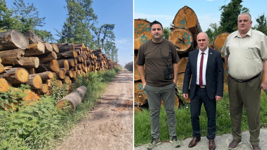 Dabro: Što prije sirovinu spačvanskog bazena staviti na tržište