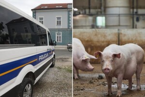 EPPO podigao optužnicu protiv devet osoba, terete ih za prijevaru tešku gotovo pet milijuna eura
