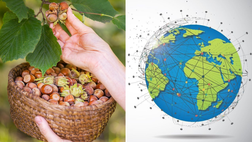 Lešnik - od praistorije do milionske svetske industrije