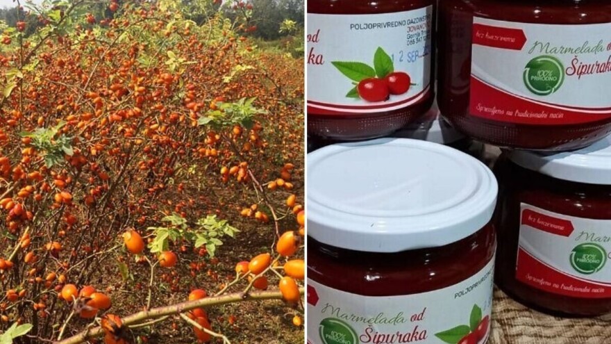 Divlji šipurak za najslađu marmeladu - kod Slađana se uvijek traži teglica više