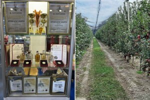 Predstavljena rakija "Aps" - prave je osuđenici iz smederevskog Okružnog zatvora