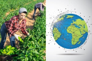 Paprika, od drevnih civilizacija do moderne prehrambene industrije