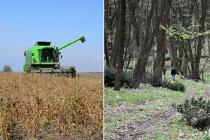 Što za proizvođače soje donosi nova uredba o deforestaciji? Tvrtke zabrinute, odredbe nejasne