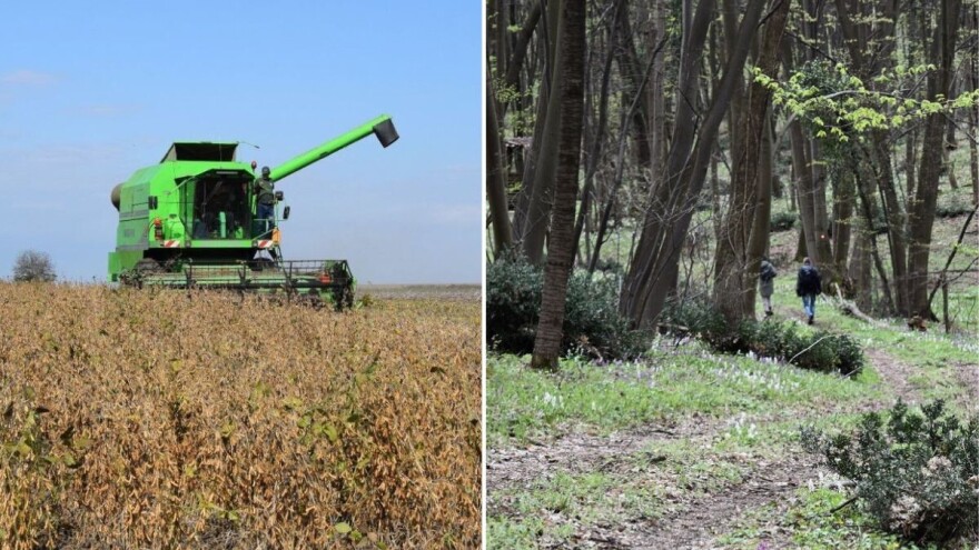 Što za proizvođače soje donosi nova uredba o deforestaciji? Tvrtke zabrinute, odredbe nejasne