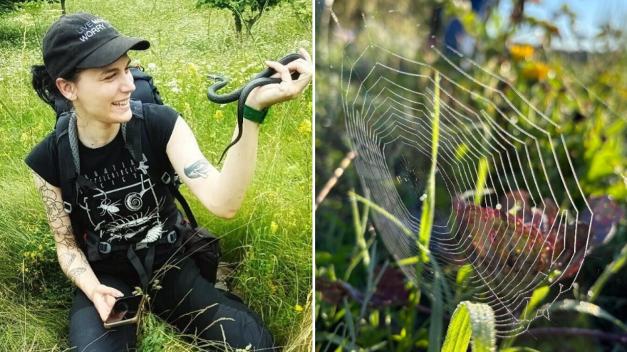 Pomoć u vrtu: Zašto je pauk prirodni pesticid, a zmija odličan deratizator?