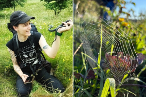Pomoć u vrtu: Zašto je pauk prirodni pesticid, a zmija odličan deratizator?