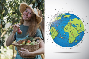 Kruška između tradicije i tržišta: Globalni rast, regionalni izazovi