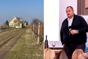 Kako steći znanja i vještine potrebne za uzgoj grožđa i proizvodnju vina?