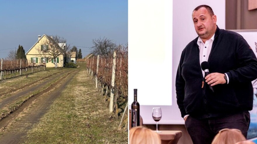 Kako steći znanja i vještine potrebne za uzgoj grožđa i proizvodnju vina?