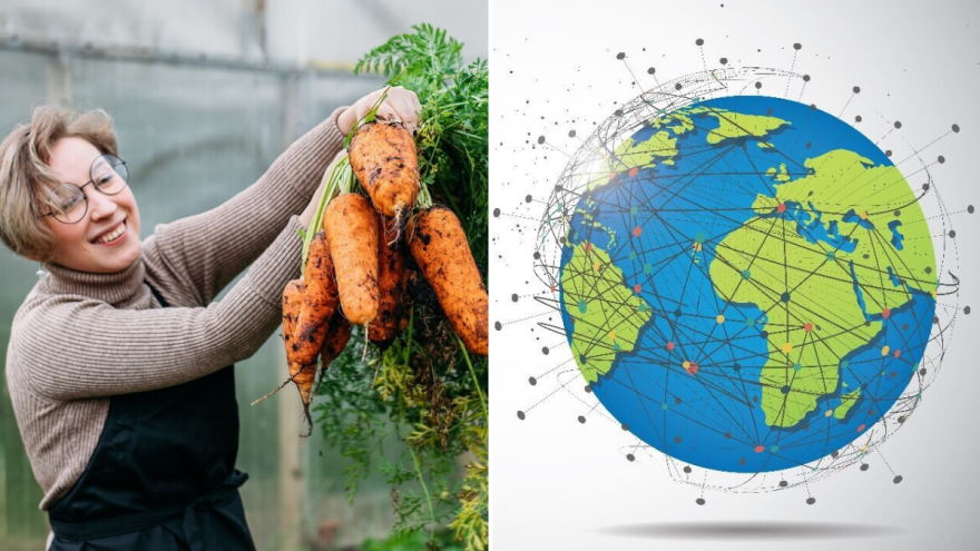 Mrkva kroz stoljeća - nutritivna riznica i lider svjetske proizvodnje