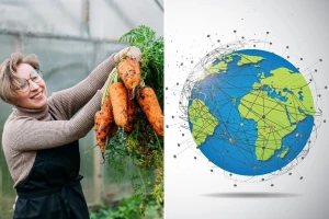 Šargarepa kroz vekove - nutritivna riznica i lider svetske proizvodnje