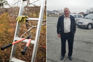 Voćarstvo Republike Srpske pred prekretnicom: Formiran stručni tim za spas sektora