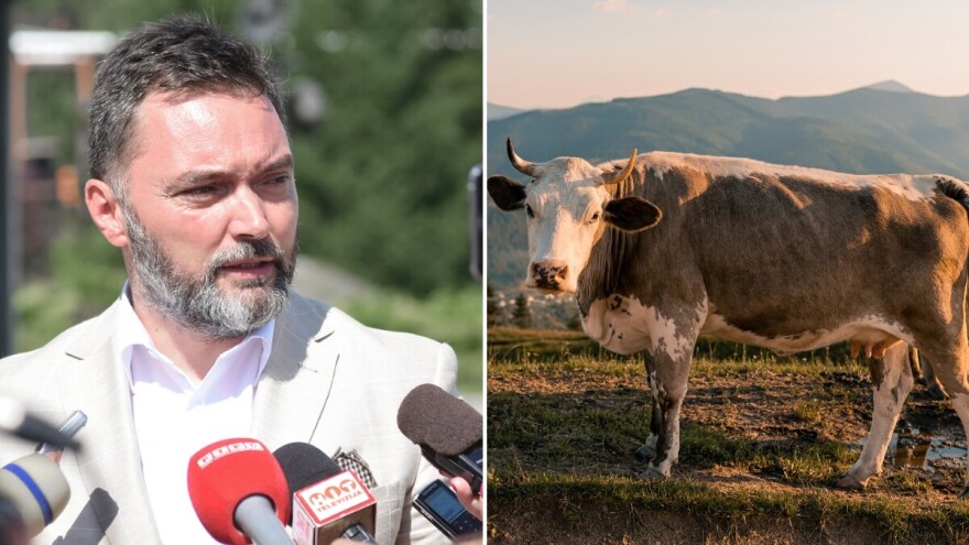 Saznajemo: Nagodinu poljoprivredni poticaji i za bh. dijasporu?!