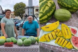 Žuta lubenica OPG-a Karas ovoljetni je hit, no mnogi je tek otkrivaju