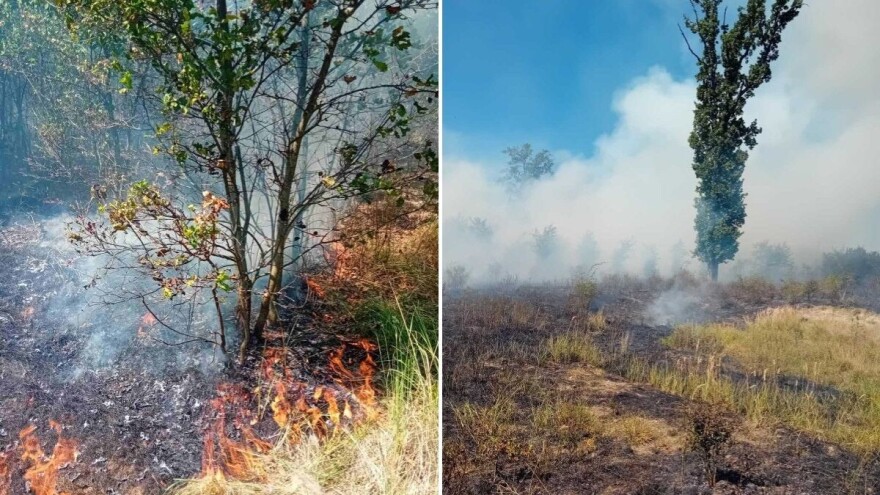 "Vojvodinašume": Pojačana opasnost od požara, ne palite vatru tamo gde je zabranjeno