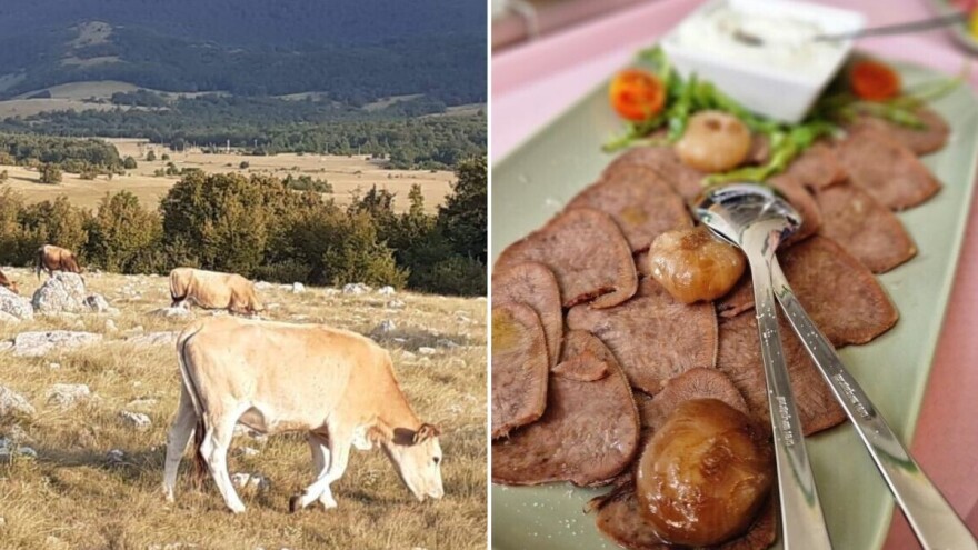 Meso autohtone buše zeleni je gastro adut Like