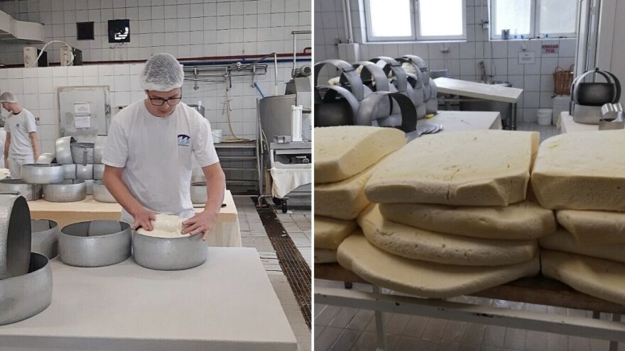 Pirotski kačkavalj, sir sa plesnima i parenica iz učeničke mlekarske radionice