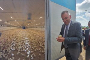 U Pelagićevu otvorena farma kapaciteta 90.000 pilića u jednom turnusu