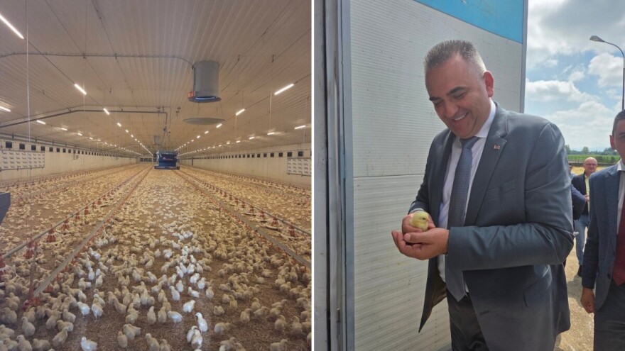 U Pelagićevu otvorena farma kapaciteta 90.000 pilića u jednom turnusu