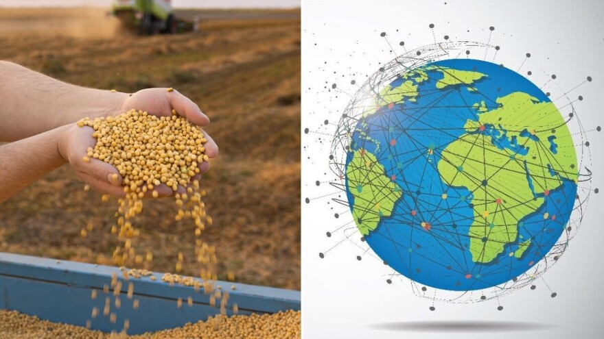 Soja: Od "svete" biljke do strateške robe na svjetskom tržištu