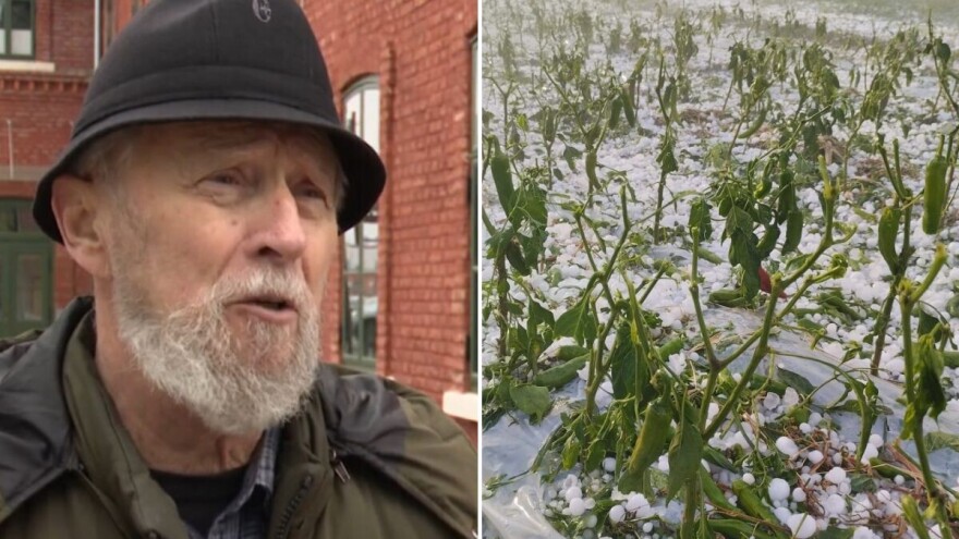 Nekadašnje njive pretvorene su u zabetonirana naselja, u takvom okruženju prirodni uvjeti više nisu isti